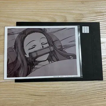 귀멸의 칼날 입지편 장면 사진 브로마이드 카마도 네즈코