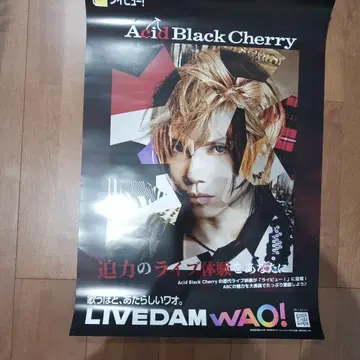 Acid Black Cherry 포스터