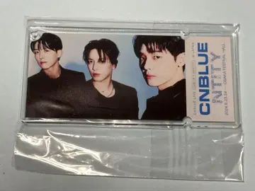 CNBLUE NTITY 티켓 키링