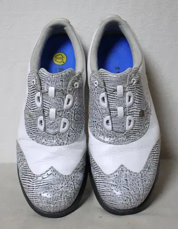 FOOTJOY (풋조이) BOA 윙팁 골프화 25cm