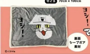 일하는 고양이 담요 쿠마미네 현장 고양이 전화 고양이