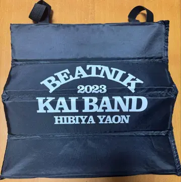 BEATNIK 2023 KAI BAND 스타디움 쿠션