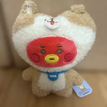 시부야 LINE 프렌즈 한정판 하치코 TATA bt21 BTS