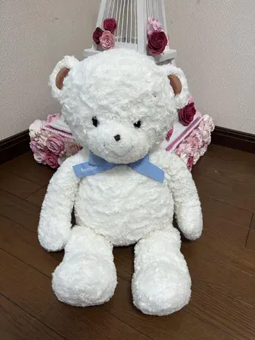 파밀리아 곰 familiar 파밀리아 베어 L