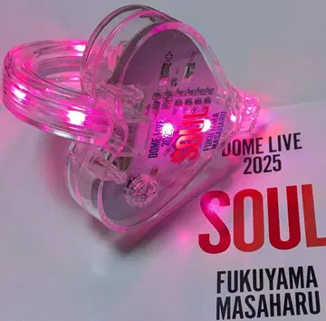 후쿠야마 마사히로 라이트 뱅글 SOUL DOME LIVE 2025