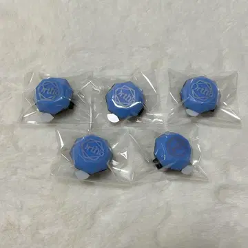 올토 링 라이트