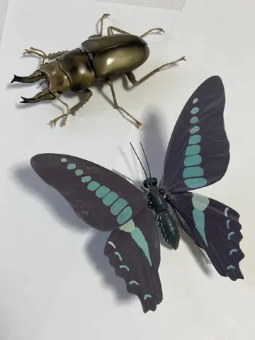 생물대도감 아오스지호랑나비 황금귀사슴벌레 세트