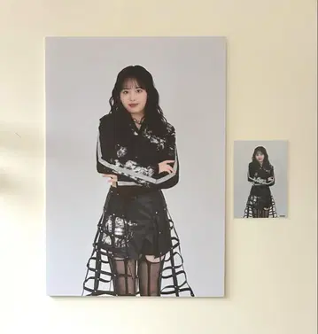 안쥬르므 고토 하나 패널 타워 레코드 브로마이드