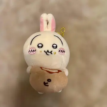 치이카와 피자만 토끼