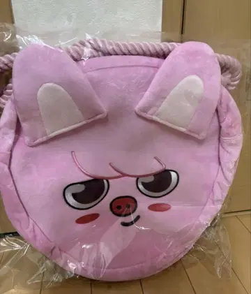 스키즈 SKZOO 토트백 돼끼 돼끼 돼끼 창빈