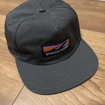 Patagonia 그레이 캡