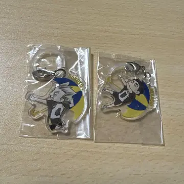 하이큐 보쿠토 아카아시