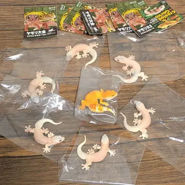 카이요도 도마뱀 도감 7마리 세트