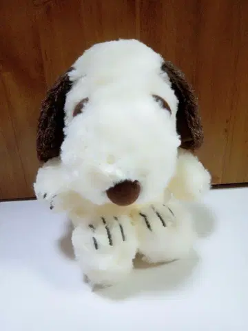 강아지 봉제 인형