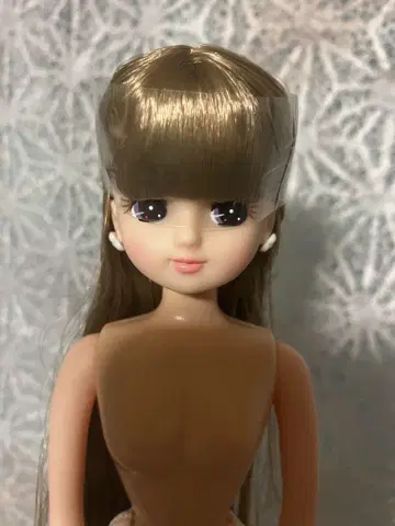 리카짱 캐슬 리카짱