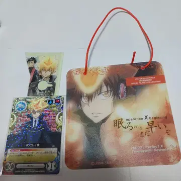 가정교사 히트맨 REBORN! 도어 플레이트 스티커 키리누키 SR TCG