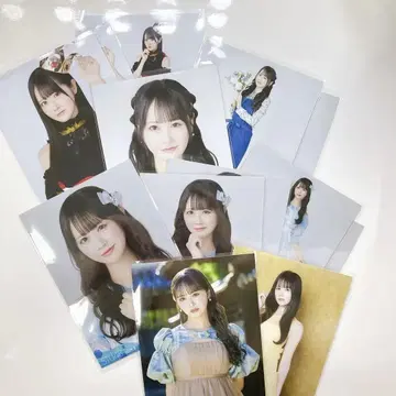 나카무라 마이 월별 브로마이드 11장 + 봉입 브로마이드 2장