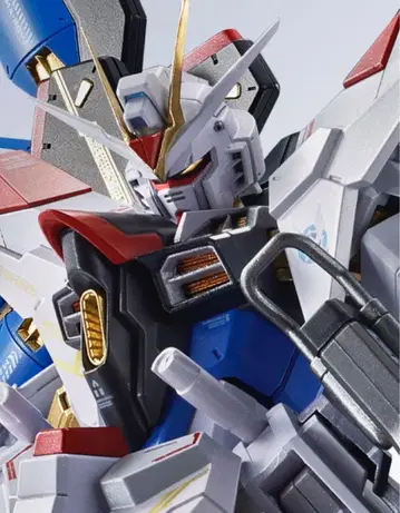 메탈 로봇혼 스트라이크 프리덤 건담 이식