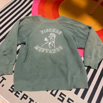 [VINTAGE] 맨투맨 빈스웨 70s?