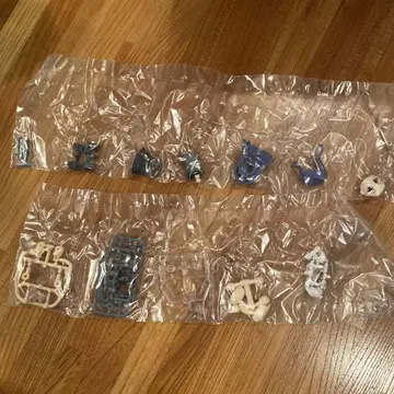 아쿠아 슈터즈 10 코이데 미야코