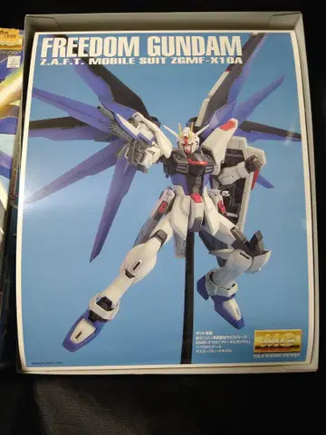 MG 1/100 프리덤 건담