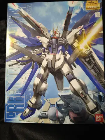 MG 1/100 프리덤 건담