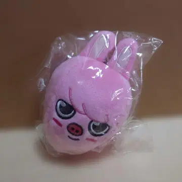 straykids 스키즈 돼끼 백참