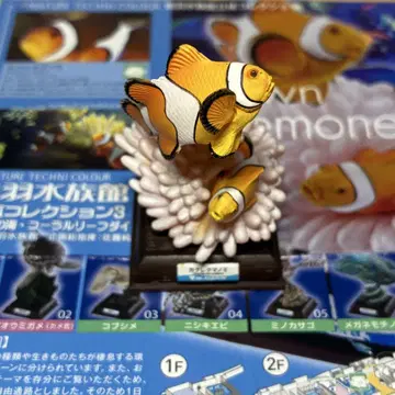 네이처 테크니컬러 토바 수족관 흰동가리