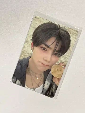 zb1 ktown4u 감자 인형 건욱
