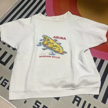 [ VINTAGE ] ARUBA 래글런 슬리브 맨투맨