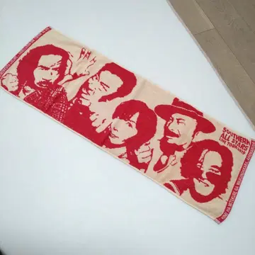 서던 올스타즈 투어 타월