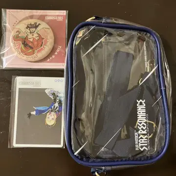 STAR RESONANCE 클리어 파우치