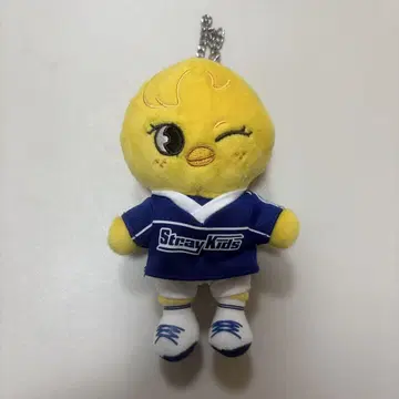Straykids 스키즈 필릭스 포가리 popup 백참