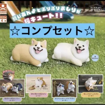 코기 산책 전 8종 컴프 세트 캡슐 토이
