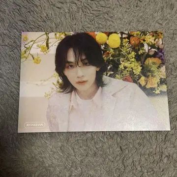SEVENTEEN always yours 타워 레코드 플라이어 정한