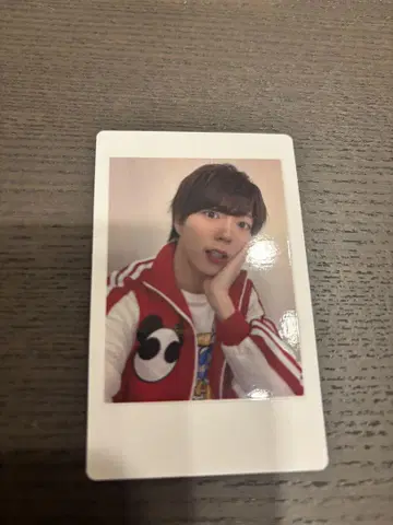 팬더 드래곤 팟치 하피카