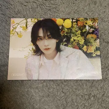 SEVENTEEN always yours 타워 레코드 플라이어 정한