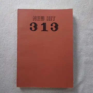 NEW HIT 313