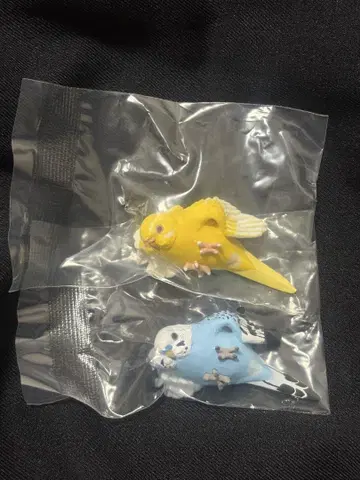 편안한 잉꼬 잉꼬