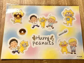 120 탄력 피넛 스티커 시트