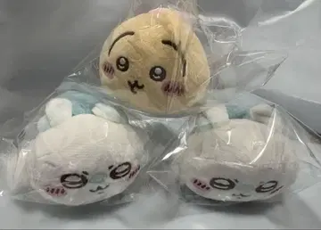 치이카와 (먼작귀) 누워있는 봉제 인형