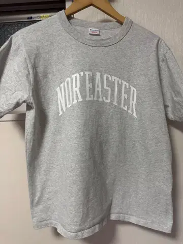 BEAMS champion 별주 프린트 T셔츠 사이즈 M