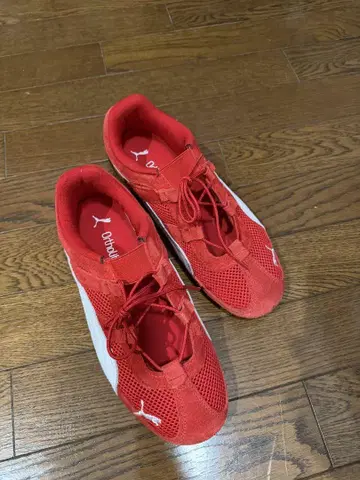PUMA 스피드캣 GO