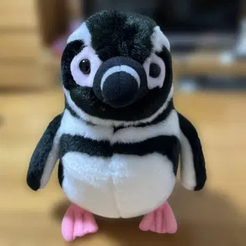 스미다 수족관 펭귄 봉제 인형