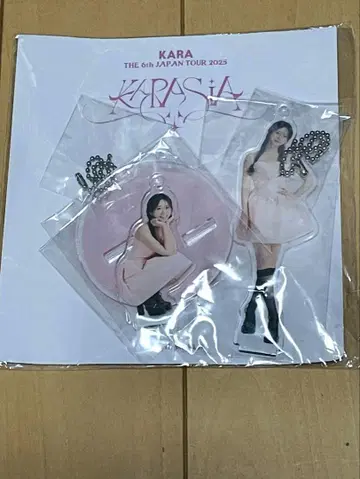 KARA 2way 아크릴 스탠드 키링 승연 SEUNGYEON