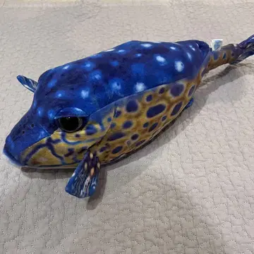 사카나쿤 프로듀스 하코복 봉제 인형 약 47cm