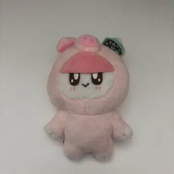 SEVENTEEN 봉봉이 돼지