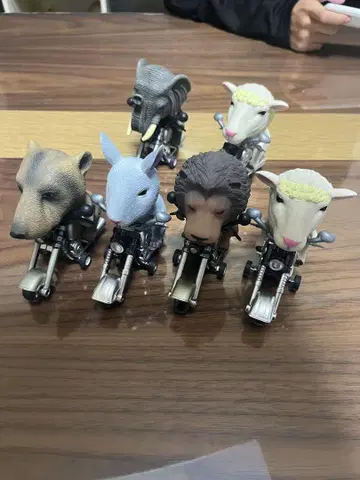 애니멀 & 다이너소어 푸시 바이크 6개 세트