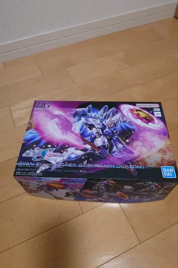 HG 걍 슈트롬