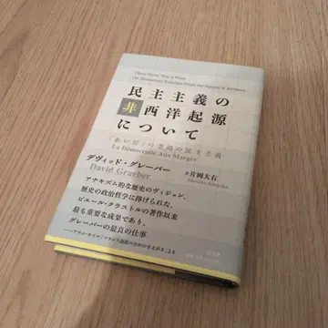 비서구 기원 민주주의에 대하여 [아이 다]의 공간 민주주의